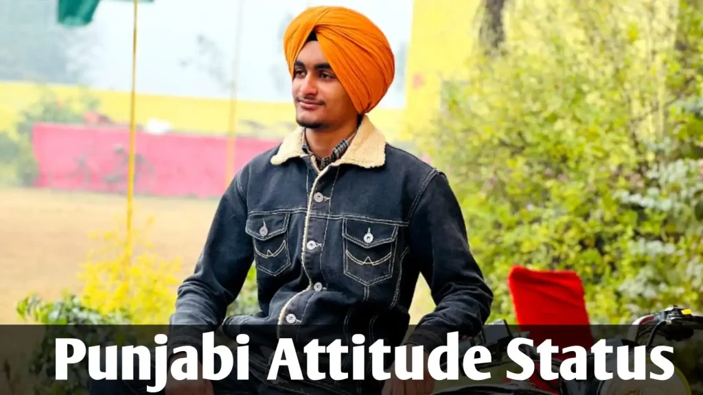 Punjabi Attitude Status